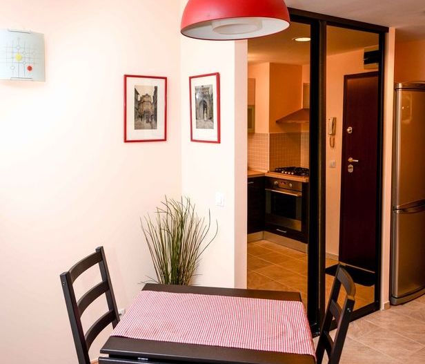 AP.2 CAMERE- ROSE GARDEN, PET-FRIENDLY, PARCARE, MASINA DE SPALAT VASE - Poză 2