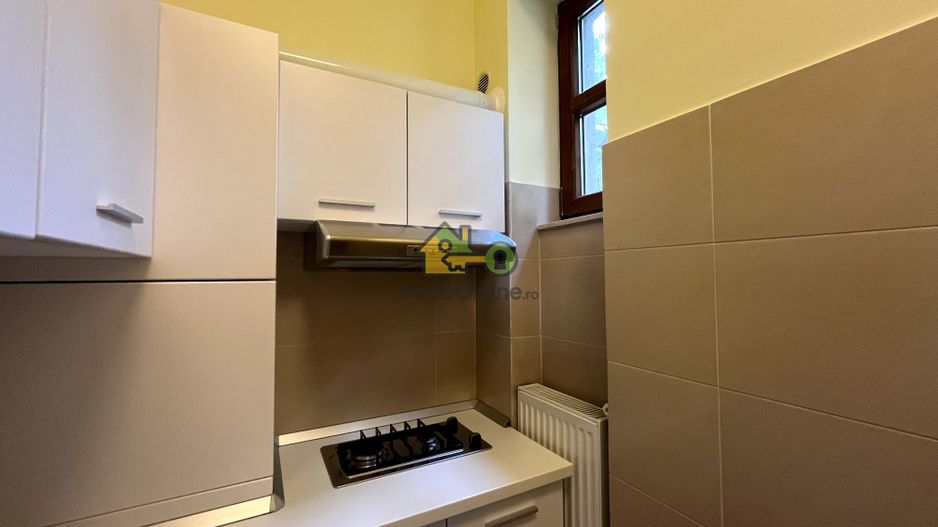 Apartament,  2 Camere, 110 Mp., Etaj 1, Take Ionescu - Poză 9
