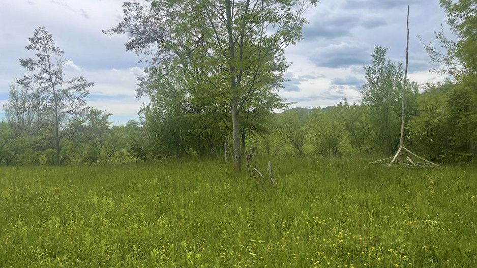 Teren intravilan Sotrile 6762 mp – Investitie, camping, agroturism - Poză 5