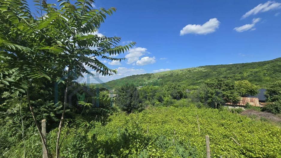 Casă cu teren de 1,4 hectare și vie, în Raducaneni - 3 camere - Poză 7