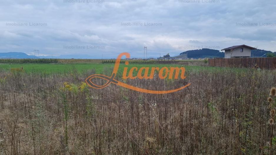 De vanzare teren  502 mp Harman Aleea 14 pret 40000 euro - Poză 4