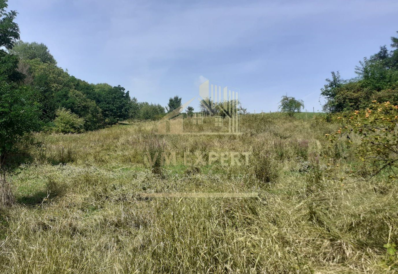 TEREN EXTRAVILAN 2570 MP, CAMPULUNG - Poză 1