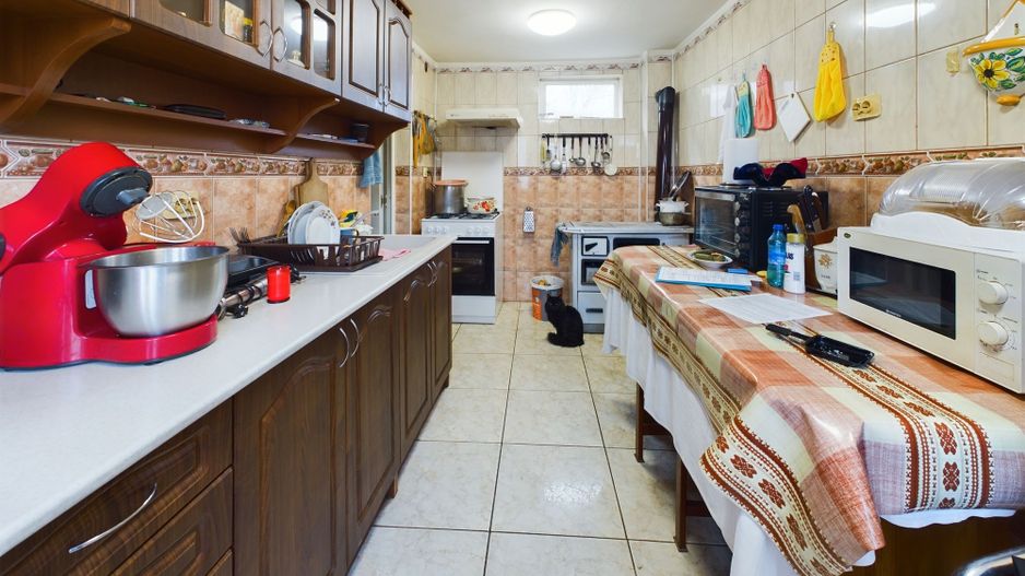 Casa modesta, 2500 mp teren, Domnesti - Poză 5