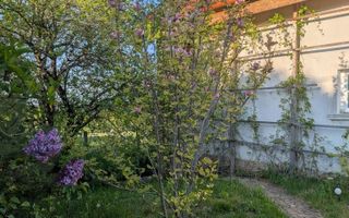 Casă extraordinar de frumoasă - Poză 3