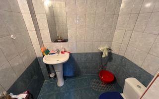 Apartament 2 camere la curte-Parc Carol-Viilor - Poză 8