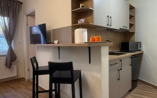 Apartament cu 3 camere si curte in Vila langa Parcul Central - Poză 2