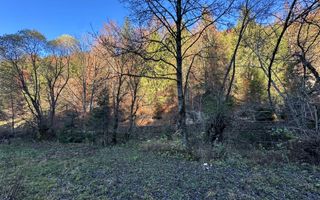 Teren 2.882 mp – oportunitate investitie - Cheile Dâmbovicioarei - Poză 8