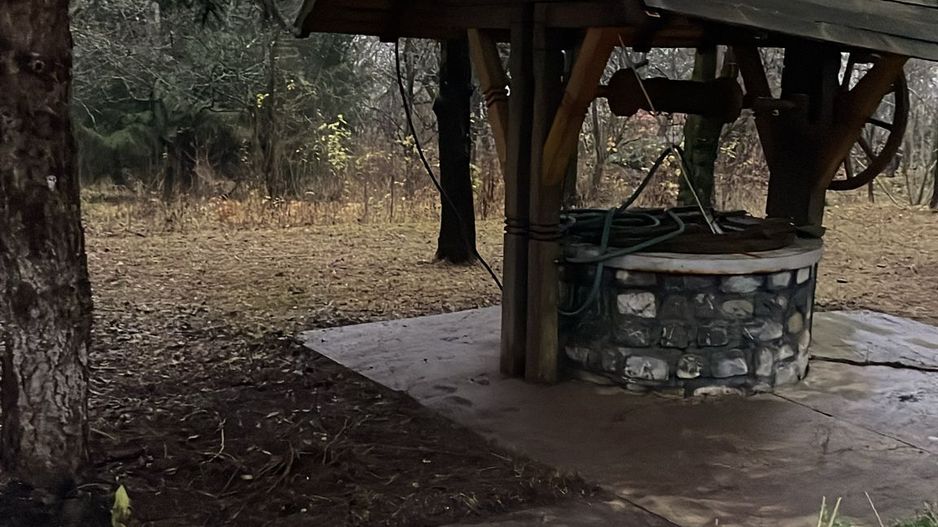 Pet Friendly, Vedere Padure, 5000mp teren, D+P+1E+M, semineu, foisor - Poză 48