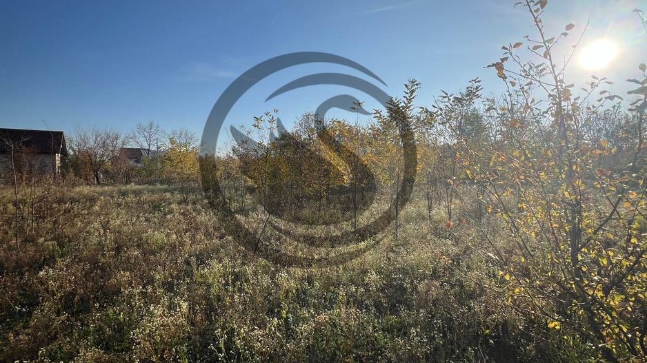 Teren intravilan de vanzare | 12.650 mp | Ghirdoveni, | COMISION 0% - Poză 12