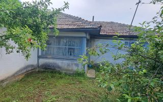 VANZARE CASA | TEREN 2500 MP | LIVADA SI VIE | SAT BREBINA – SCRIOASTEA - Poză 3