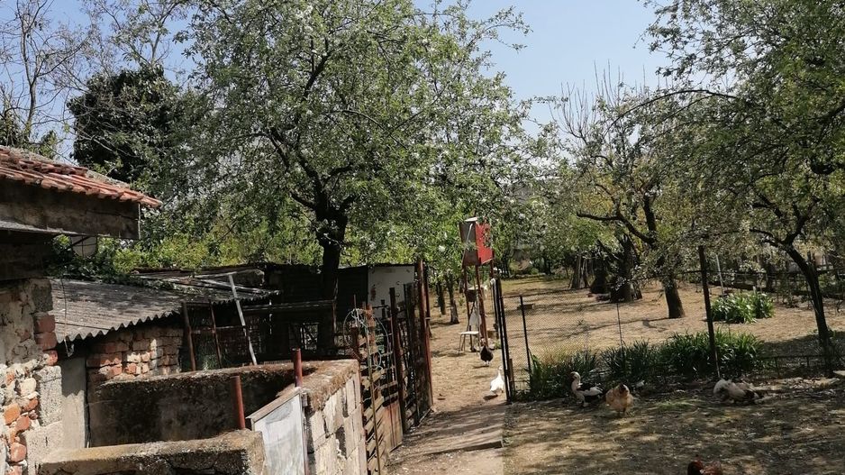 Ag EUROPA vinde casa 6 cam teren 11 ari în zona 14 Mai. - Poză 7