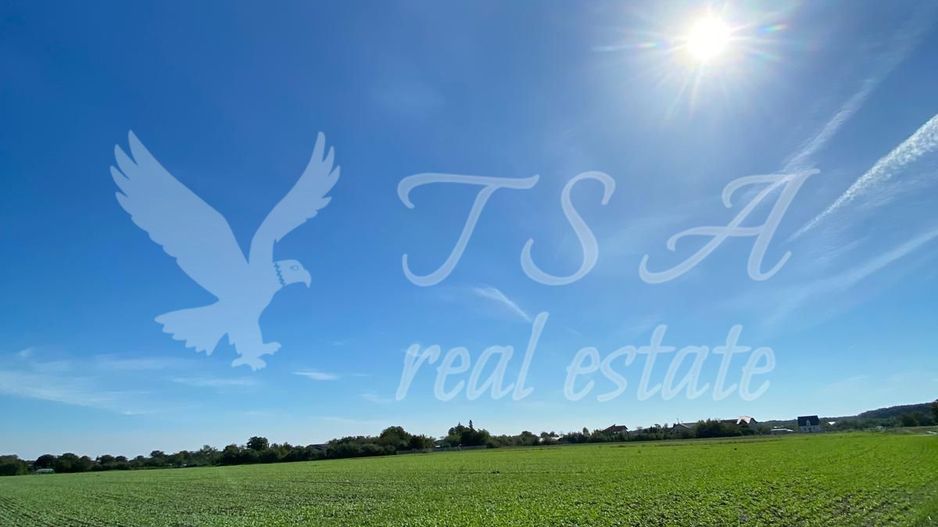 Teren Intravilan 825mp Cu dubla deschidere si Drum de servitute, Dascalu  Ilfov - Poză 3