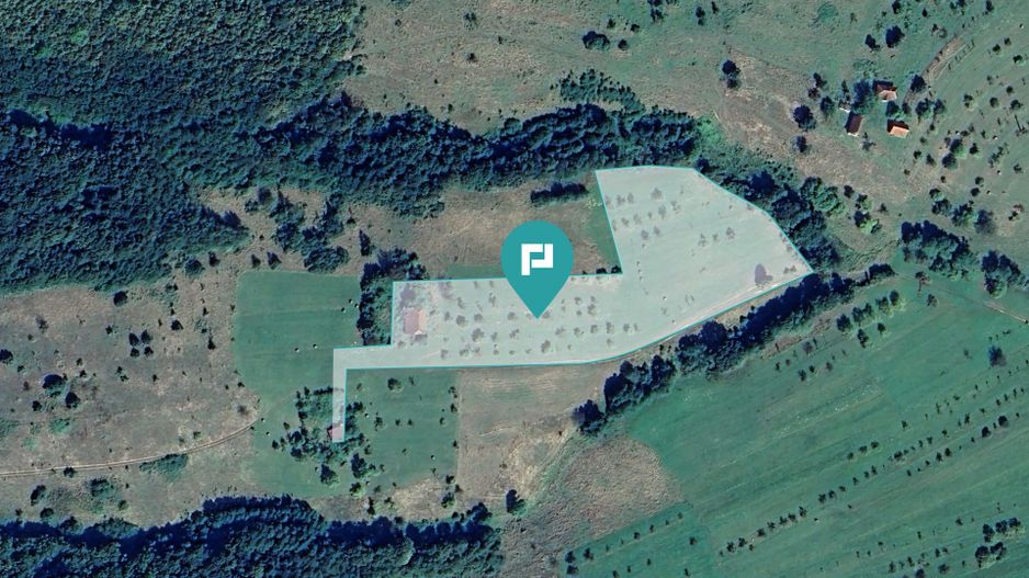 Teren de 92294 in Halmagiu - Poză 1