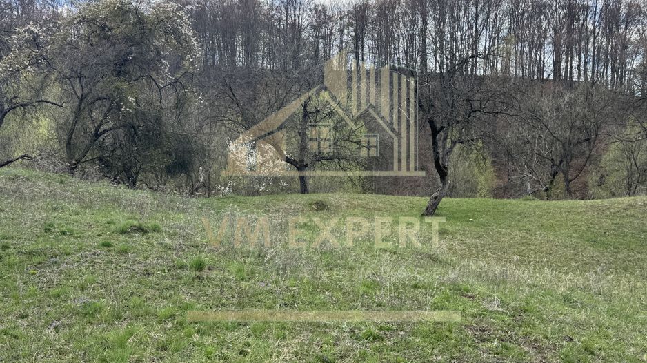 TEREN INTRAVILAN 4365 MP POENARII DE MUȘCEL  JUDEȚUL ARGES - Poză 26