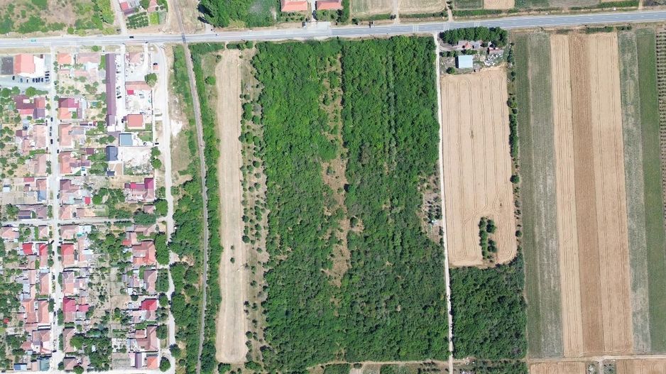 Teren cu livadă – 9.000 mp –la 400 m de ieșirea din Chișinau Cris - Poză 5