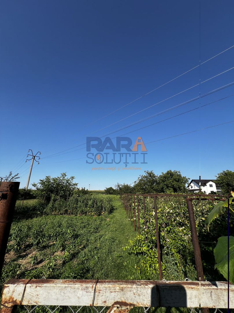 Casă 2015 - 4 dormitoare, 2 băi, 2 bucătării - Poză 17