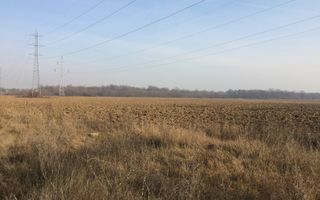 teren Cernica sat Caldararu - Poză 4