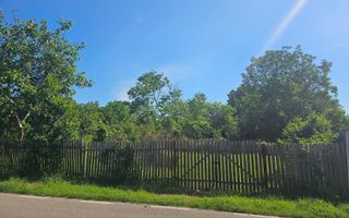 Teren 962 mp în Băicoi, Ideal pentru Casă sau Investiție - Poză 3