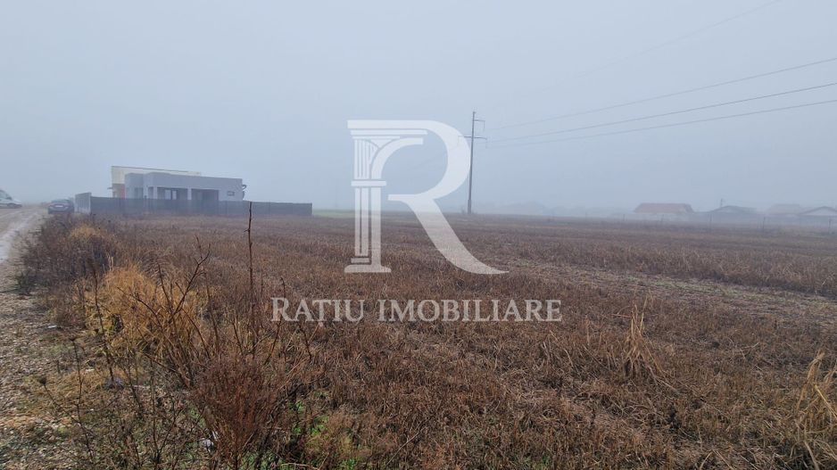 Teren intravilan | Santandrei | Bihor - Poză 3