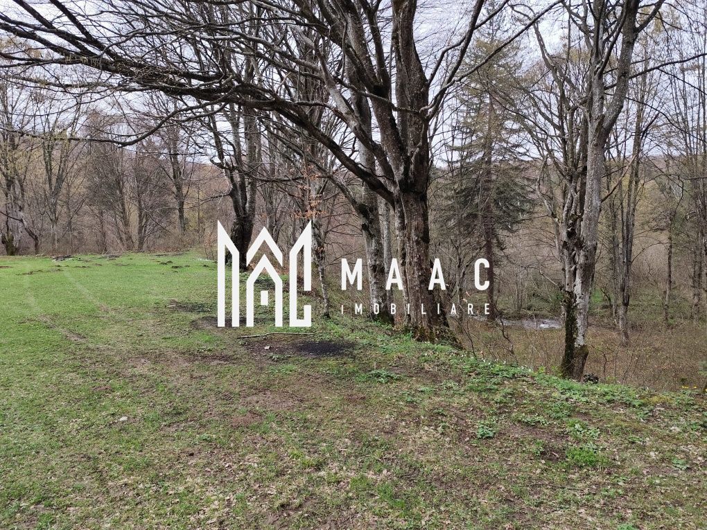 Teren Intravilan |2000Mp| Valea Avrigului - Poză 1