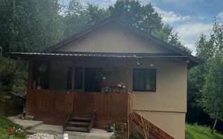 CASA 3 CAMERE, TEREN 3100 MP, ALBESTI DE MUSCEL, ARGES - Poză 13