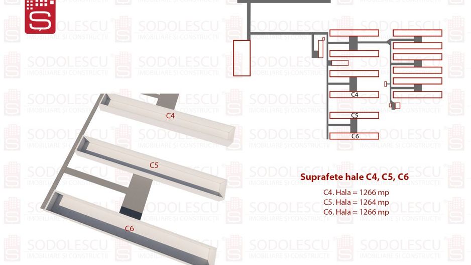 Vanzare hale Mosnita Noua-fosta Ferma 7 - Poză 5