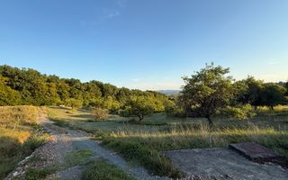 Teren intravilan de vânzare 7.000 mp – Groși, spre Dumbrăvița - Poză 1