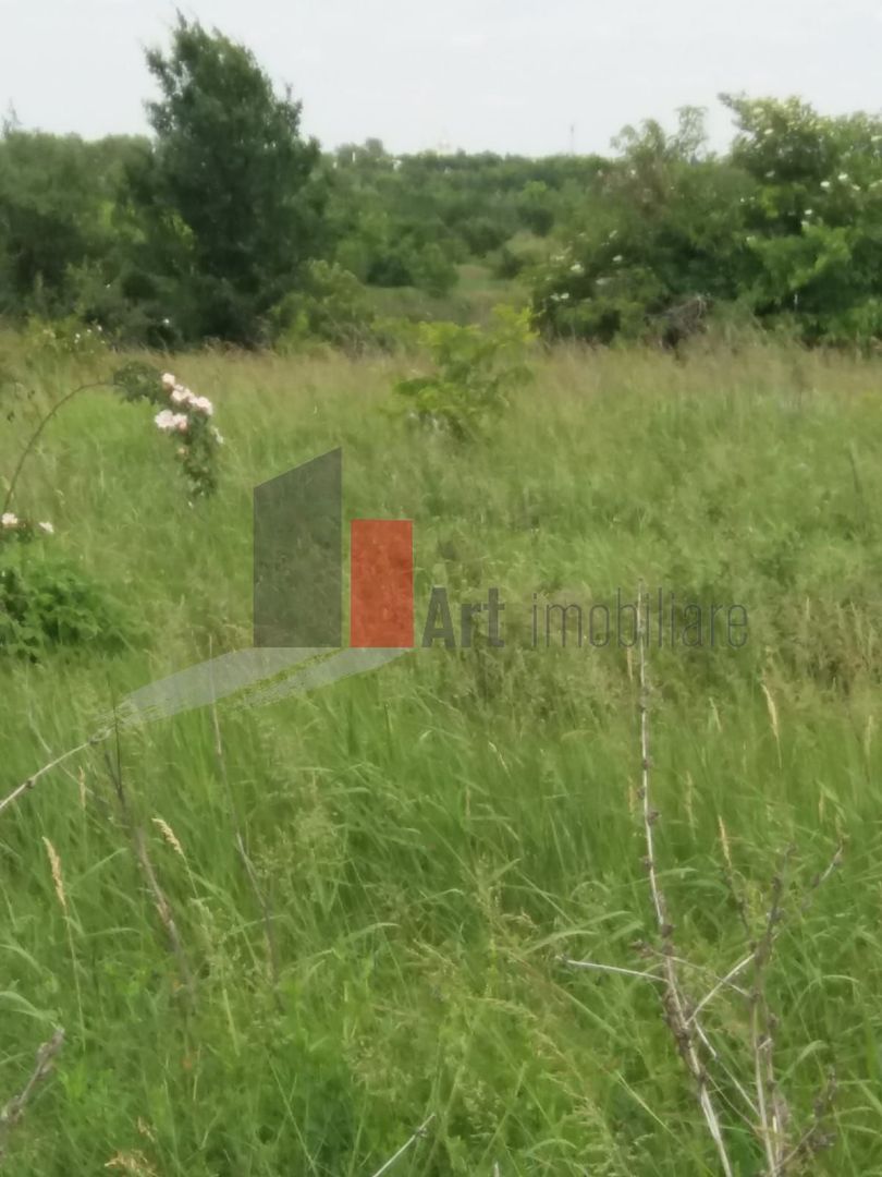 Teren Buftea cu iesire la lac - Poză 29