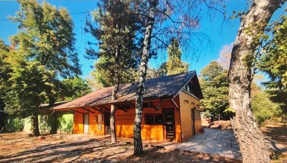 Vanzare sau inchiriere | Herastrau | restaurant cu terasa - Poză 2