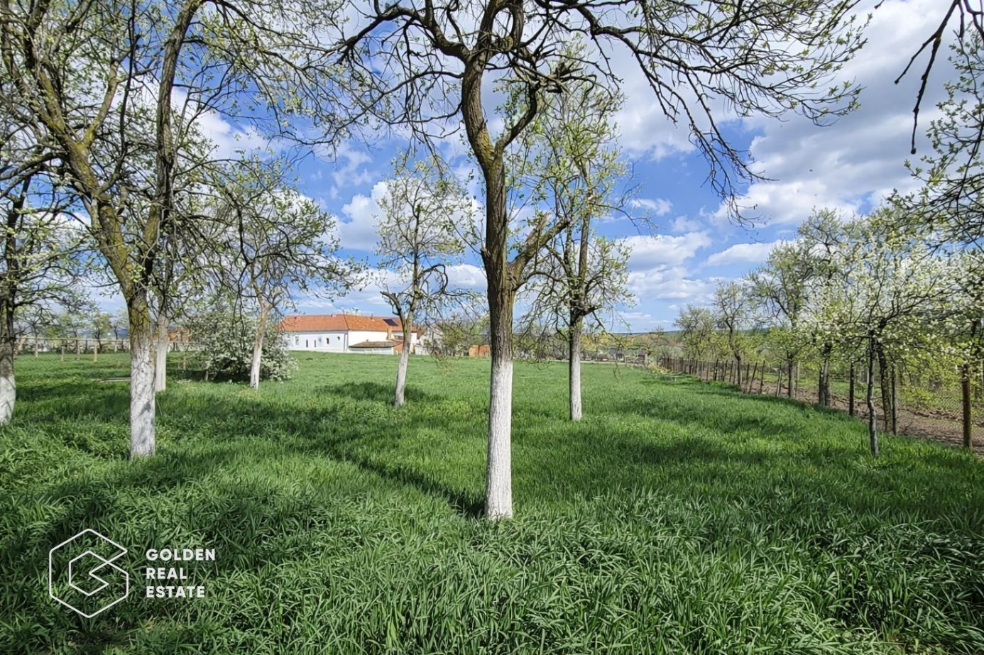 Casa cu doua corpuri de cladire, localitatea Chesint - Poză 9
