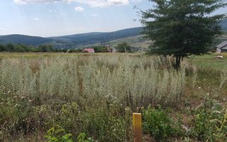Teren intravilan construibil, 1.219 mp, zona Chicirea/Tomești, 25 euro/mp - Poză 4