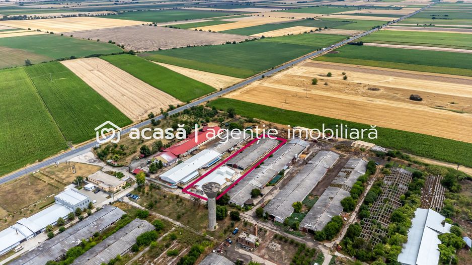 Unitate de abatorizare și procesare carne DN7  -  Nădlac - Poză 1