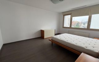 Vila de vanzare sau inchiriere zona Iancu de Hunedoara Baneasa - Poză 14