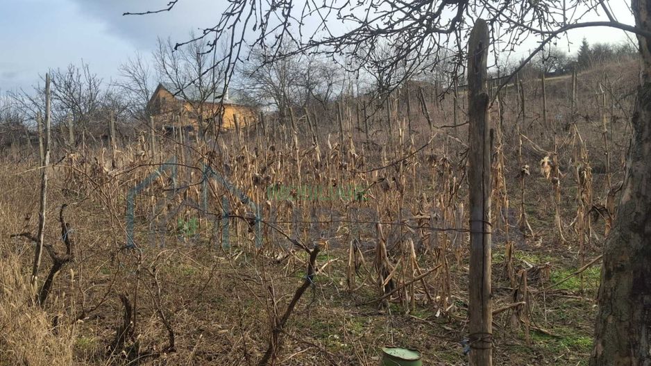 Casă de vânzare în satul Perieni, comuna Probota, cu grădină - Poză 2