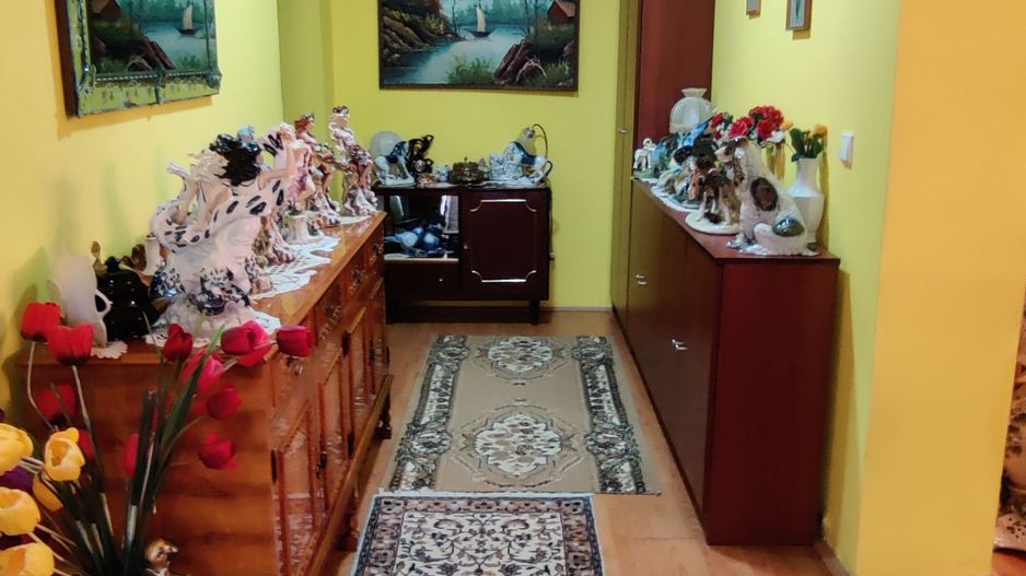 CASA INDIVIDUALA SI HALA CU TEREN  4000 MP - Poză 25