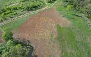 Casa de vacanta cu teren si padure de 3.8ha | Nadas | Herneacova - Poză 8