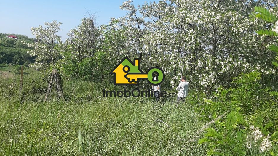 Teren de vânzare în Lugoj, judet Timis - Poză 5