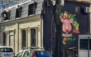 VANZARE CASA VILA PIATA ROMANA AMZEI ULTRACENTRAL INVESTITIE 135MP - Poză 3