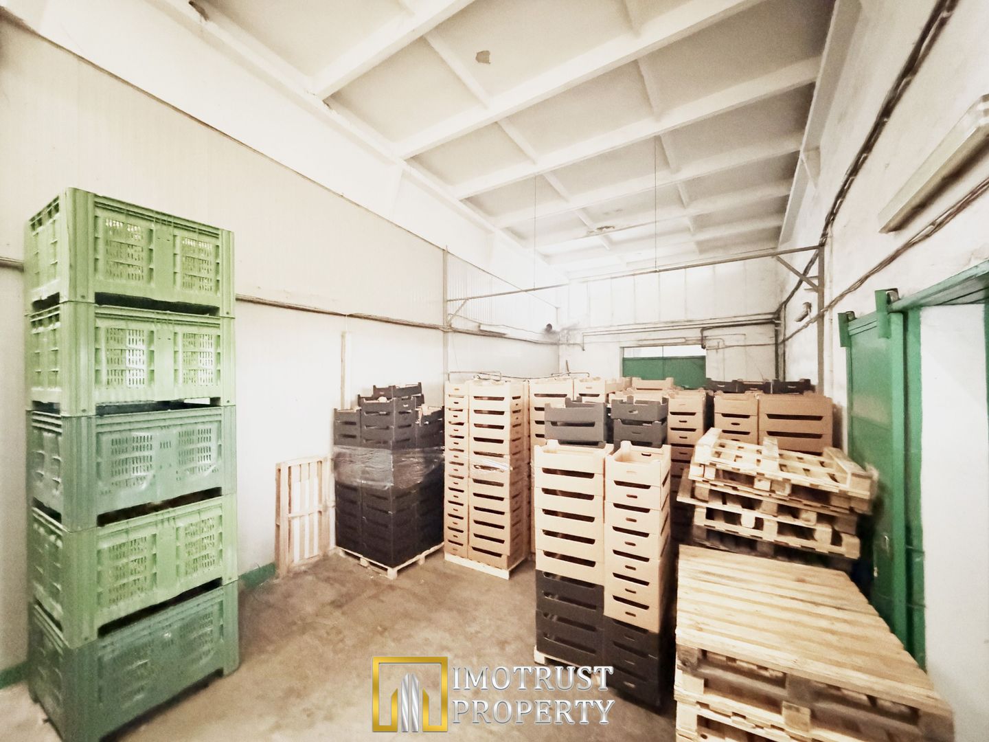 Hala industriala de vanzare Arad – 589 mp - Poză 4