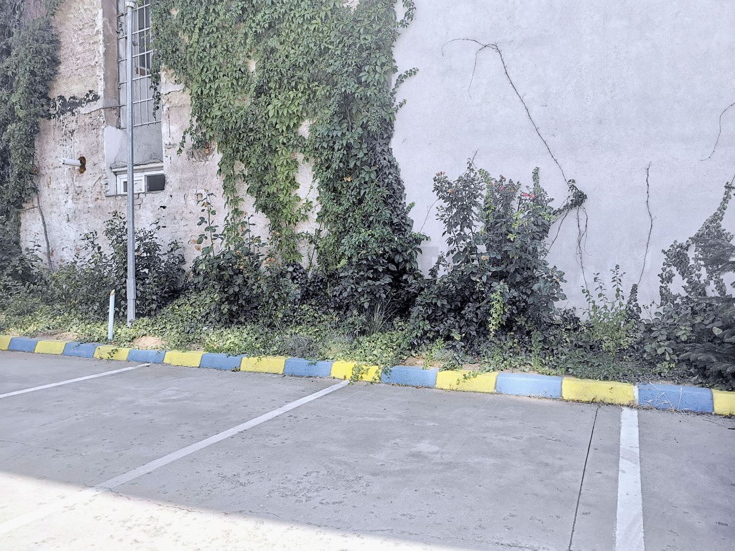 Zero comision, 202mp birou Foisor, paza, parcare, 10 min. mers metrou - Poză 10