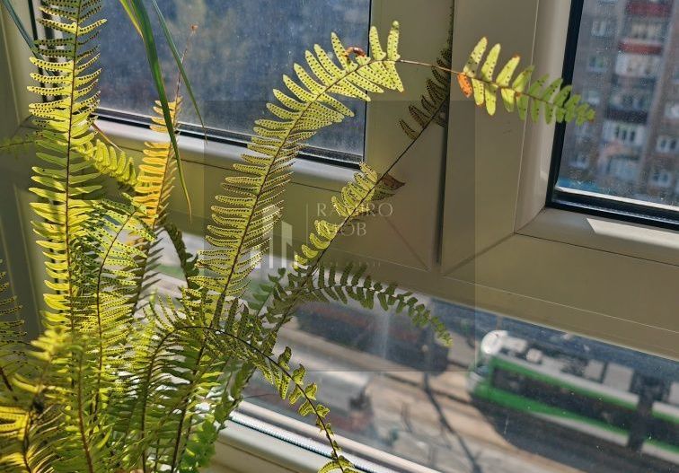 Apartament 3 Camere | Crangasi | Proximitate Metrou| Centrala Proprie - Poză 3