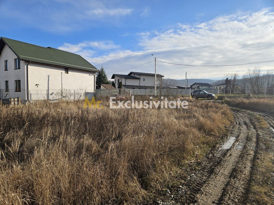 Teren 1.250 mp, toate utilitatile – Bascov, Valea Ursului, AG - Poză 3