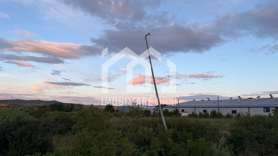 Teren – 7.194 mp | Răscruci – Zona Tetarom - Poză 4