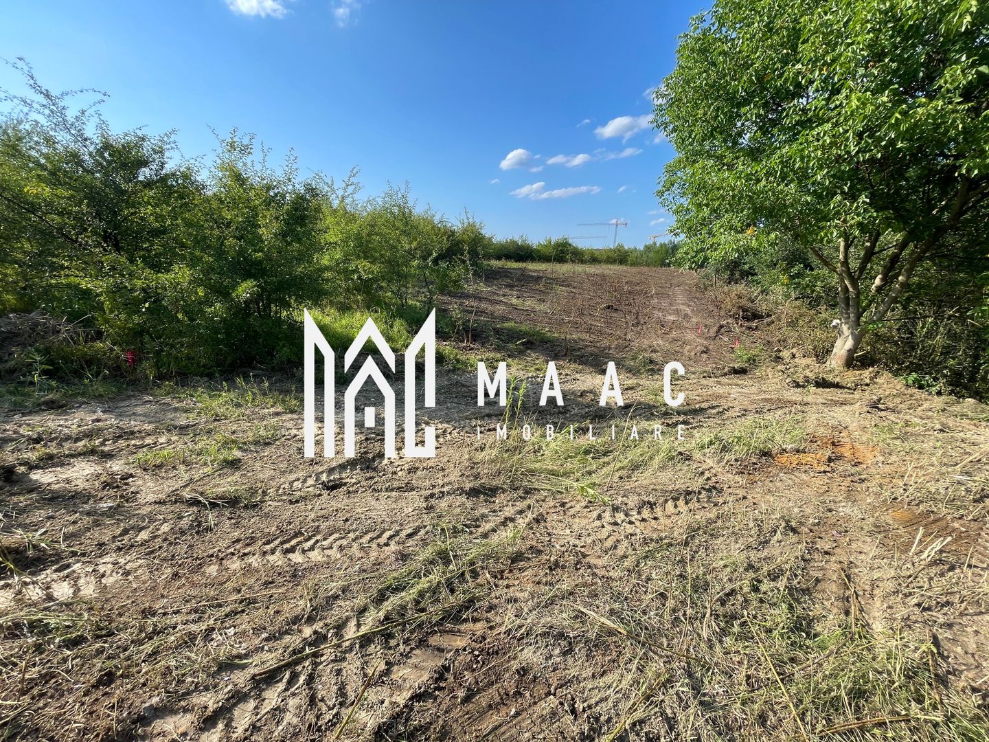 Oportunitate de Investiție Strategică | Teren Intravilan | Colonia Becas - Poză 7