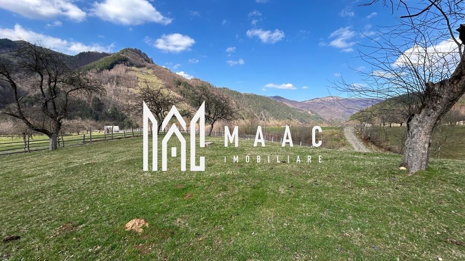 Teren intravilan I 1000 mp I Raul Sadului - Poză 2