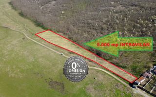 TEREN INTRAVILAN 5.000 mp, VASLUI - zona LAC DELEA; - Poză 2