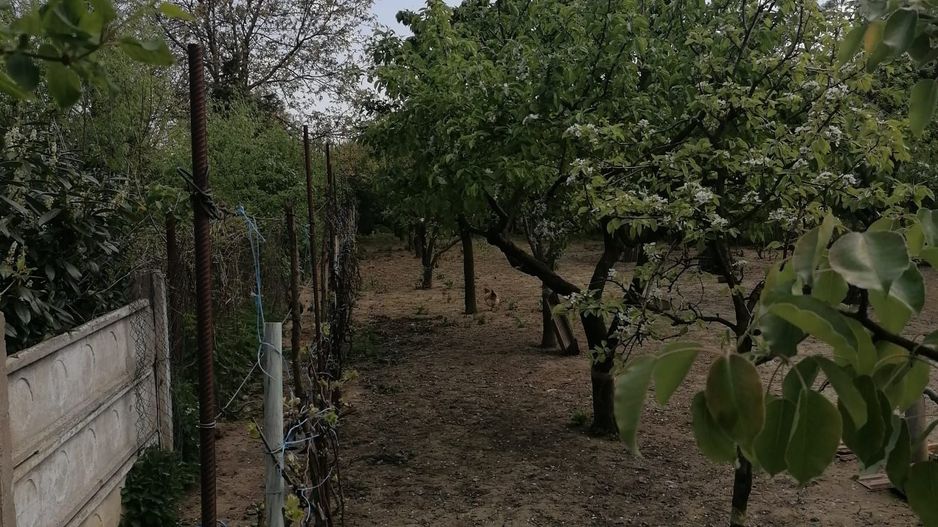 Ag EUROPA vinde casa 6 cam teren 11 ari în zona 14 Mai. - Poză 6