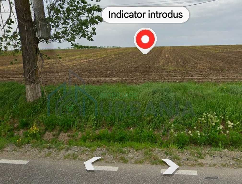 Teren de 5000 mp de vanzare, cu front la strada, in Voinesti, Iasi - Poză 4