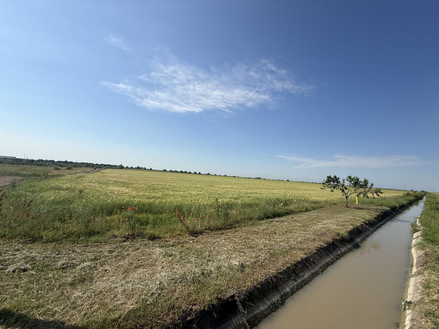 Teren 10 hectare pretabil pt panouri solare-Aricesti Rahtivani - Poză 6
