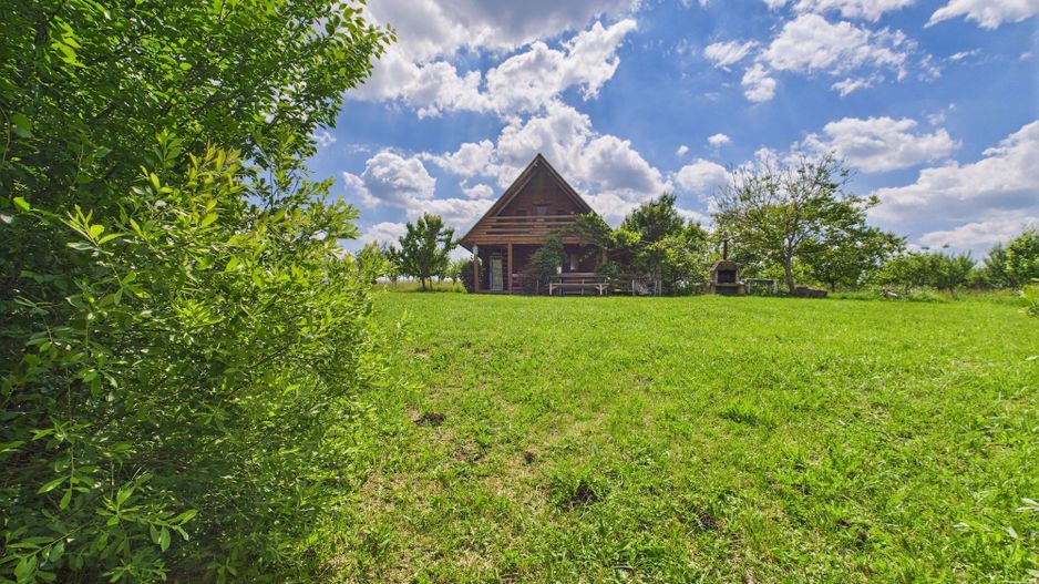 Teren cu baltă- oportunități multiple la Fibiș - Poză 41